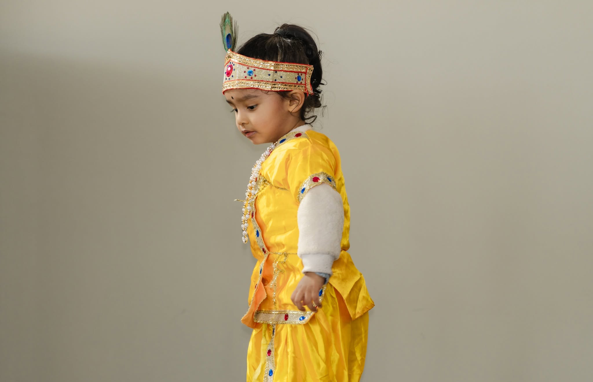 Krishna Janmashtami Celebration